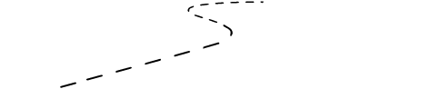 DSN Logo